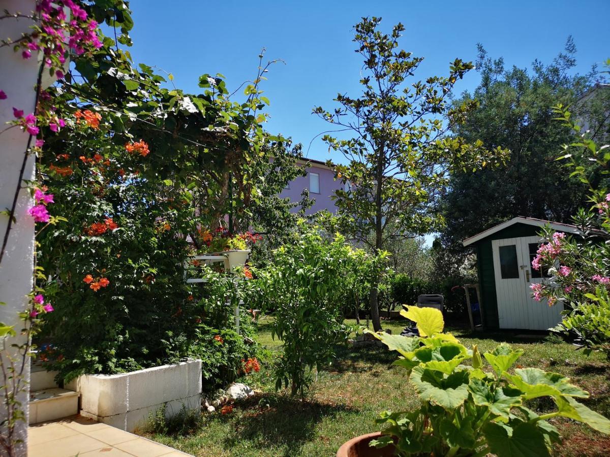 פאז'אנה Chillout Apartments With Pool Patricia מראה חיצוני תמונה